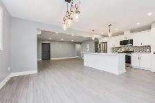 LOWER DUPLEX AVAILABLE NOW - Photo 3