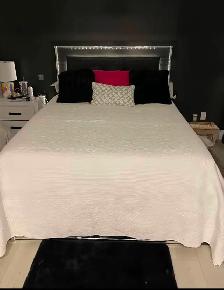GORGEOUS BOWMAMVILLE LOWER APARTMENT - Photo 5