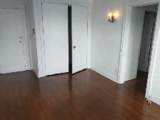 Large bachelor. Jackson Park. $1,100 incl. heat/water - Photo 3