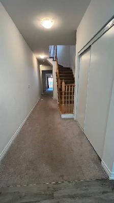 House for rent in South Gate dundalk - Photo 12