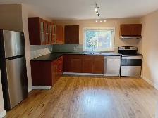 Fully Renovated 3-bedroom Apartment in Greely utilities included - Photo 3