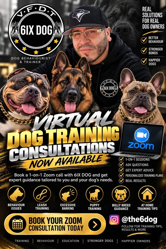 PUPPY AND ADULT DOG TRAINING