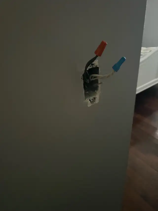 Electric Switches and Plugs Replaced $100