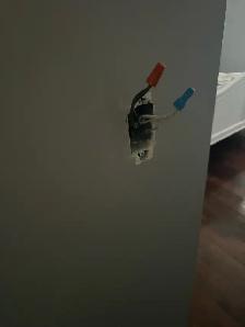 Electric Switches and Plugs Replaced $100