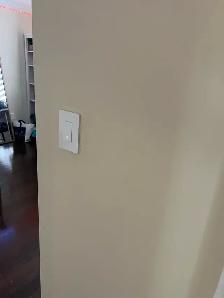 Electric Switches and Plugs Replaced $100 - Photo 3