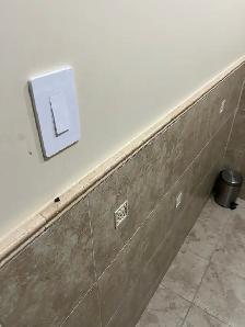 Electric Switches and Plugs Replaced $100 - Photo 4