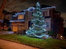 Christmas Lights installations - Photo 5