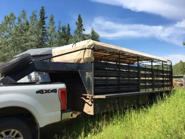 Gooseneck Livestock Trailer