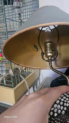 Huard/Canard en bois mis sur lampe brass/laiton antique - Photo 7