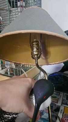 Huard/Canard en bois mis sur lampe brass/laiton antique - Photo 8