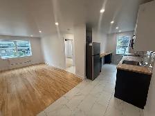 Newly renovated 1-bedroom unit- Available Immediately!