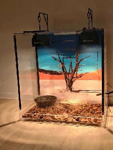 terrarium neuf tout équipé