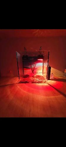 terrarium neuf tout équipé - Photo 3