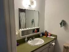 Bright 1-Bed   Balcony, Fairview — Cat Friendly - Photo 5