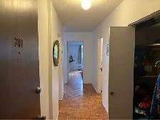Bright 1-Bed   Balcony, Fairview — Cat Friendly - Photo 7