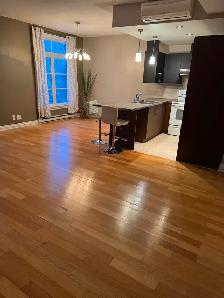 À LOUER – Beau 4 ½ à Sainte-Adèle – 1 600 $/moisVous cherche - Photo 4