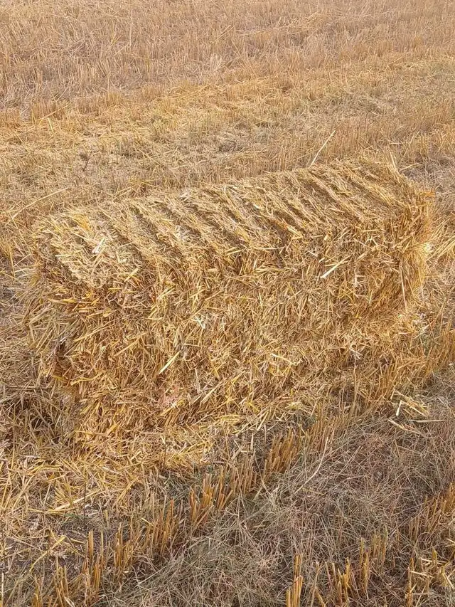Straw Bales