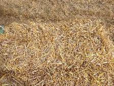 Straw Bales - Photo 3