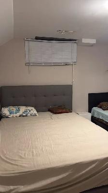 One Room Basement sharing