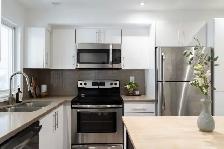 Bright & Modern 1-Bedroom Legal Basement Apartment in Riverdale - Photo 3