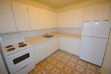 1 Bedroom in Ottawa South ~ Available now, large balconies - Photo 7