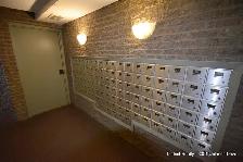 1 Bedroom in Ottawa South ~ Available now, large balconies - Photo 10