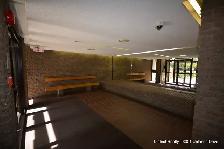1 Bedroom in Ottawa South ~ Available now, large balconies - Photo 14