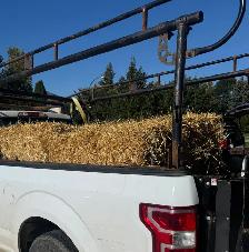 Free Hay bales