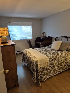 Logements 4 1/2 pour 50 ans et plus Île Bizard - Photo 3