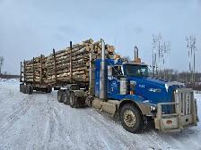 Class 1 Truck Drivers Wanted - Photo 2