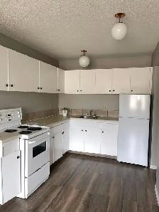 FOR RENT 1 Bd apartment -  short and long terms