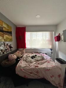 CESSION DE BAIL TOUT INCLUS/ LEASE TRANSFER ALL INCLUDED - Photo 2
