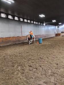 Private horse riding lessons - Photo 3