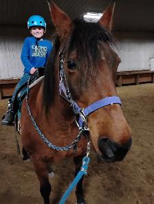Private horse riding lessons - Photo 6