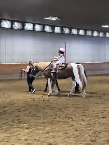 Private horse riding lessons - Photo 7