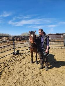 Private horse riding lessons - Photo 8