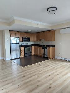 Luxury 2BR w/ In-Suite Laundry - The James (South St) - $2195 - Photo 18