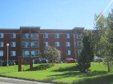 MAGNIFIQUE 3 1/2 JACQUES-CARTIER NORD (IMMEUBLE DE PRESTIGE) 55