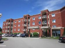 MAGNIFIQUE 3 1/2 JACQUES-CARTIER NORD (IMMEUBLE DE PRESTIGE) 55 - Photo 3