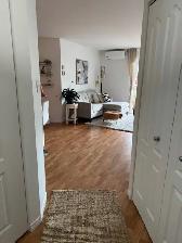 MAGNIFIQUE 3 1/2 JACQUES-CARTIER NORD (IMMEUBLE DE PRESTIGE) 55 - Photo 8