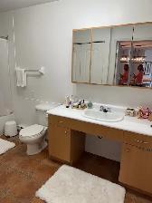 MAGNIFIQUE 3 1/2 JACQUES-CARTIER NORD (IMMEUBLE DE PRESTIGE) 55 - Photo 13