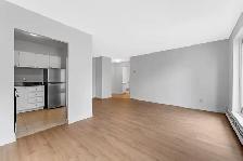 modern 1-bedroom apartment, Nov 1st, ByWard Market - ID 4287 - Photo 3
