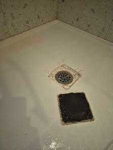 VERSATILE CLEANING SERVICE $25/hr - Photo 2