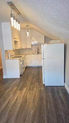 TWO BEDROOM APARTMENT FOR RENT - Photo 12