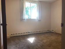 1 Bedroom Suite - All Utilities Included - Photo 8