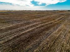 2 Quarters With Yard Site | Near Earl Grey & Strasbourg, SK - Photo 4