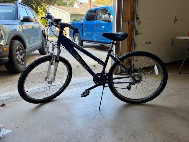 21 speed Schwinn mountain bike