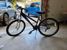 21 speed Schwinn mountain bike