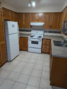 Bright Basement Apartment for rent - Photo 2