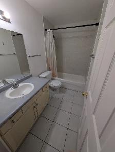 Bright Basement Apartment for rent - Photo 5